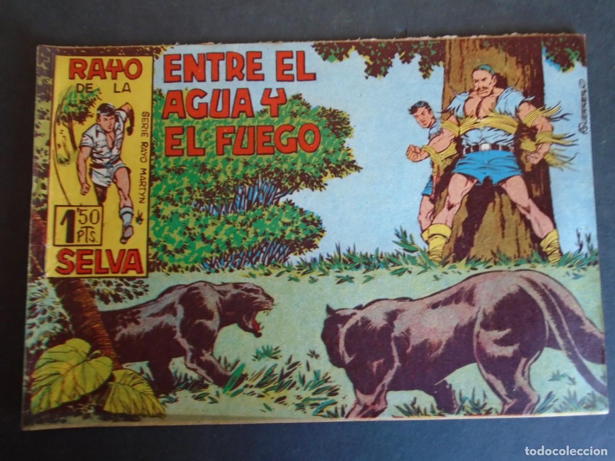 Tebeos: (COM-230402)LOTE DE 37 COMICS EL RAYO DE LA SELVA - EDITORIAL MAGA - Foto 15