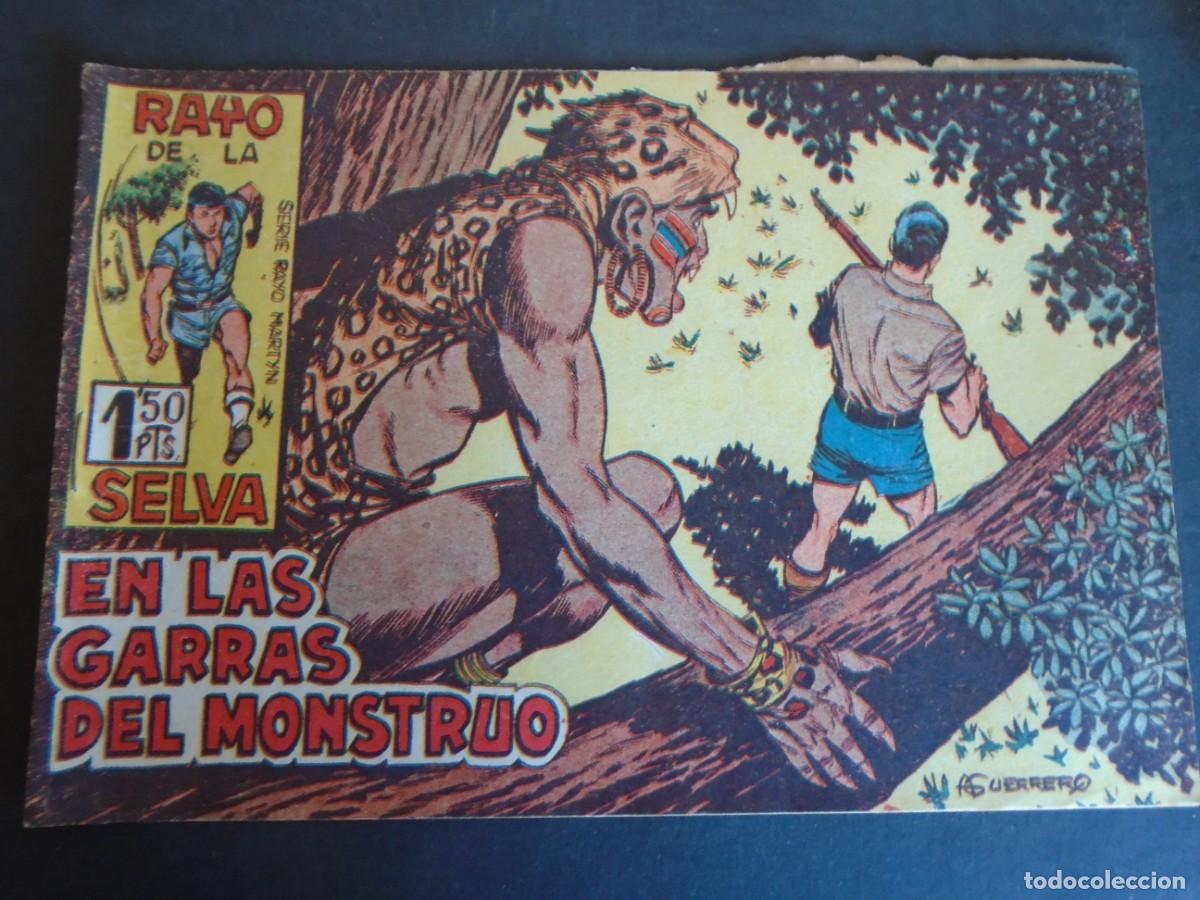 Tebeos: (COM-230402)LOTE DE 37 COMICS EL RAYO DE LA SELVA - EDITORIAL MAGA - Foto 21