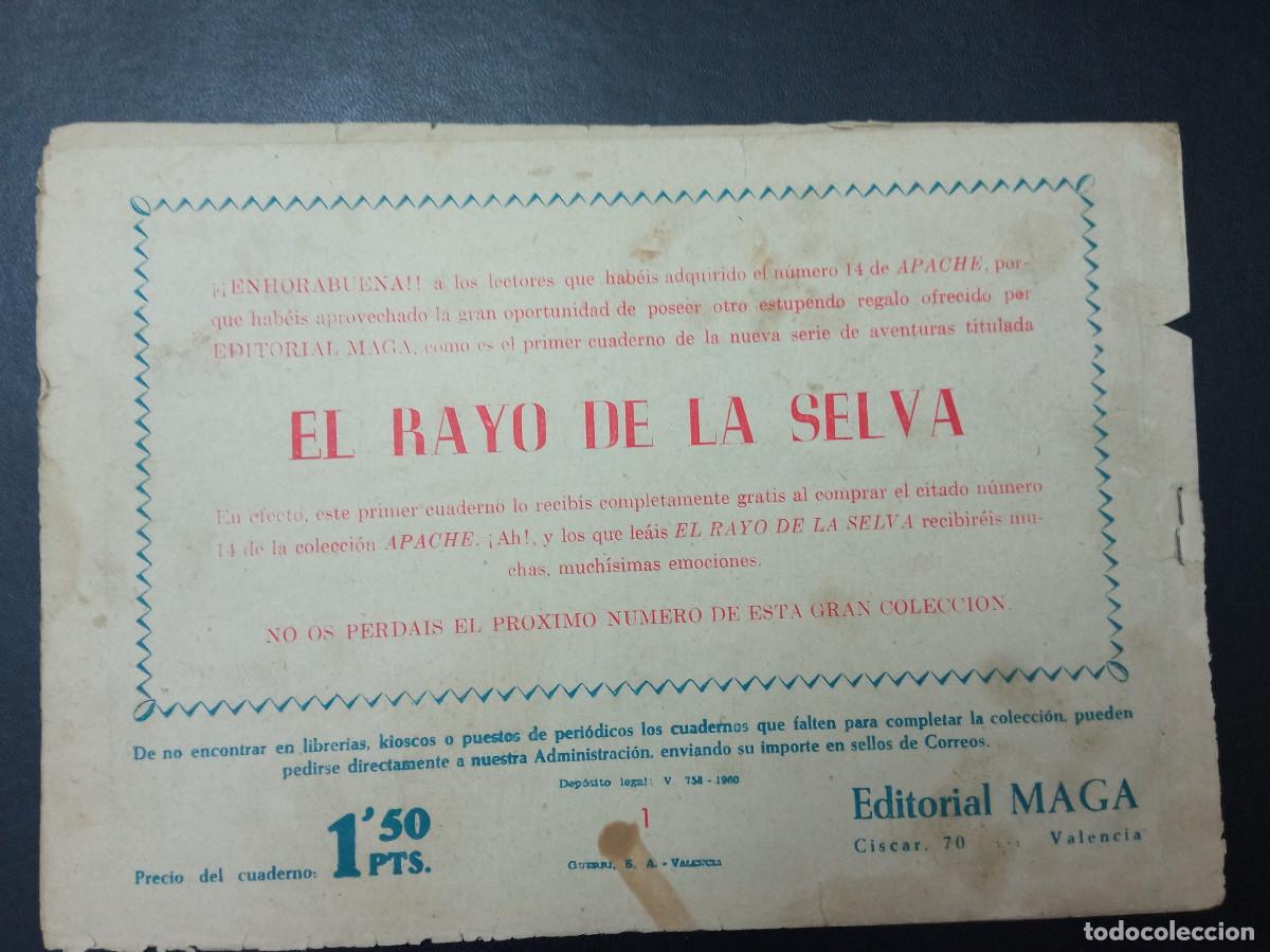 Tebeos: RAYO DE LA SELVA N&ordm; 1 - Foto 2