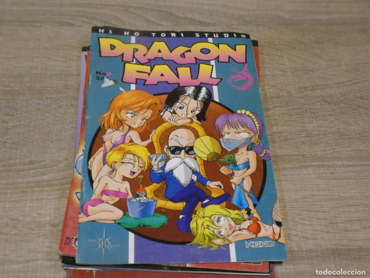 Tebeos: ARKANSAS1980 COMIC MANGA ESTADO CORRECTO - DRAGON FALL NUM 2 - Foto 1