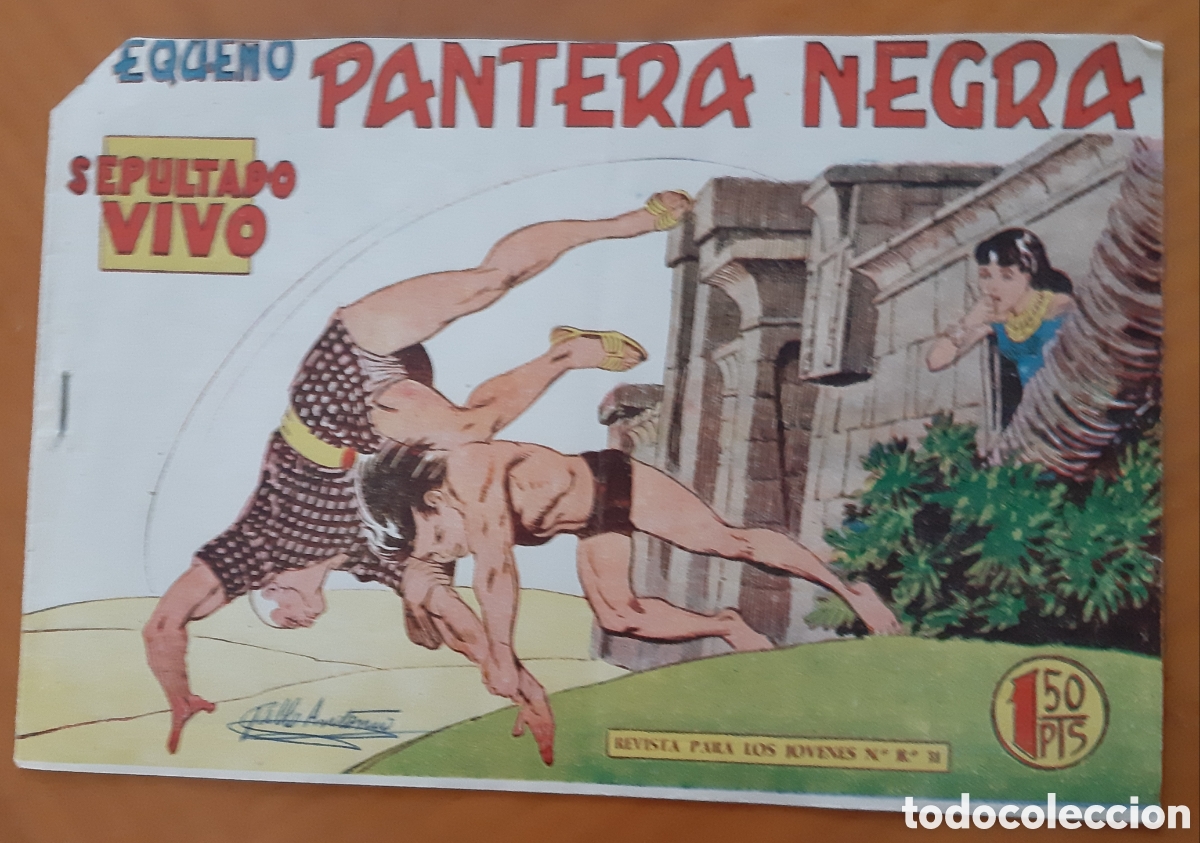 Tebeos: C&oacute;mic Peque&ntilde;o Pantera Negra. Maga. N&uacute;mero 163 - Foto 1