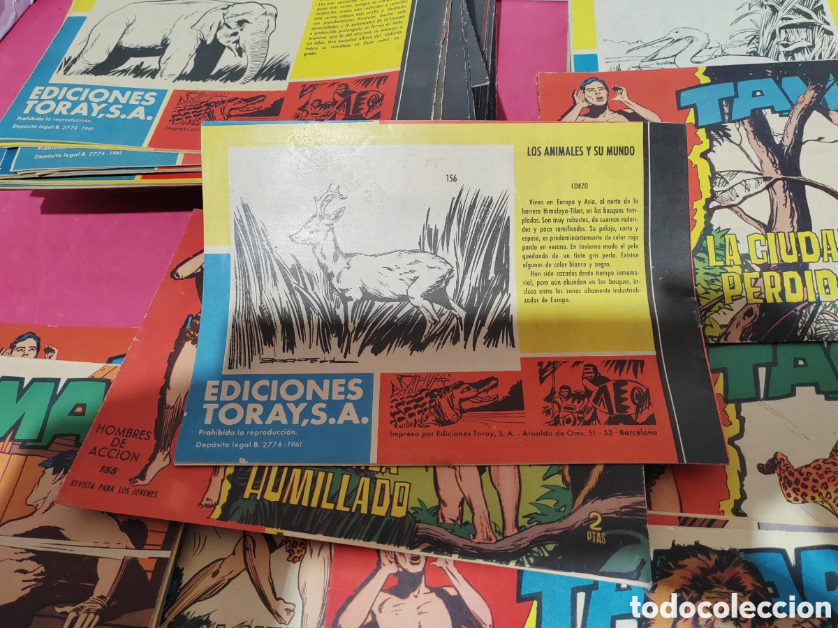 Tebeos: Colecci&oacute;n completa tamar originales. - Foto 7