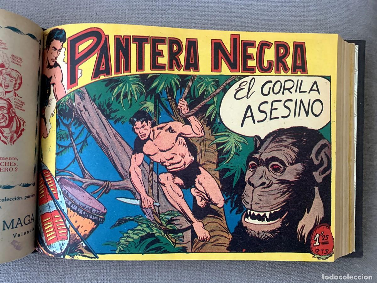 Tebeos: PANTERA NEGRA, 54 N&Uacute;MEROS. ENCUADERNADA. BUEN ESTADO - Foto 8