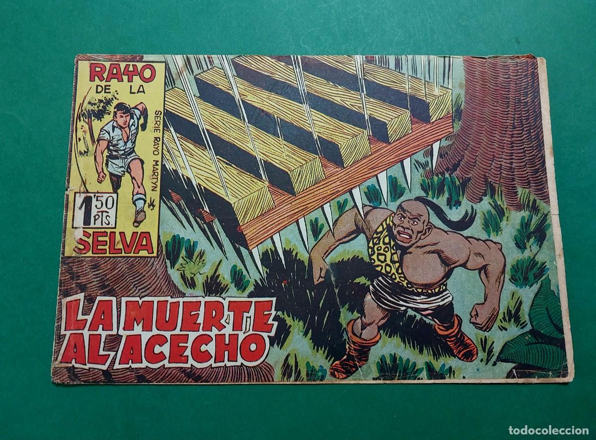 Tebeos: Rayo de la Selva N&ordm; 34 Editorial Maga 1960 Ref C-80 - Foto 1