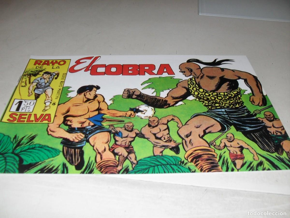Tebeos: (FACSIMIL)RAYO DE LA SELVA N&ordm; 41 EL COBRA,(DE 83).MAGA,1960 - Foto 1