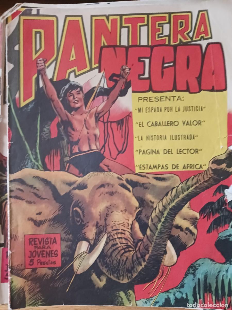 Tebeos: Tebeos PANTERA NEGRA - Foto 1
