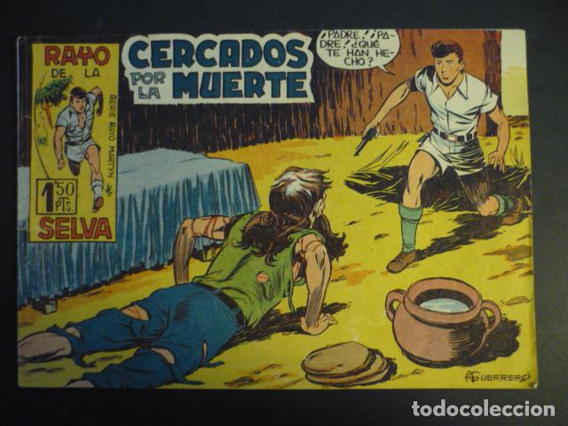 Tebeos: RAYO DE LA SELVA N&ordm; 3 COMIC MAGA - Foto 1