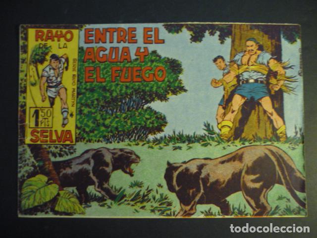 Tebeos: RAYO DE LA SELVA N&ordm; 15 COMIC MAGA - Foto 1