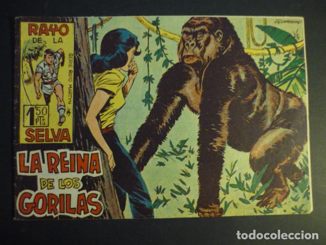 Tebeos: RAYO DE LA SELVA N&ordm; 12 COMIC MAGA - Foto 1
