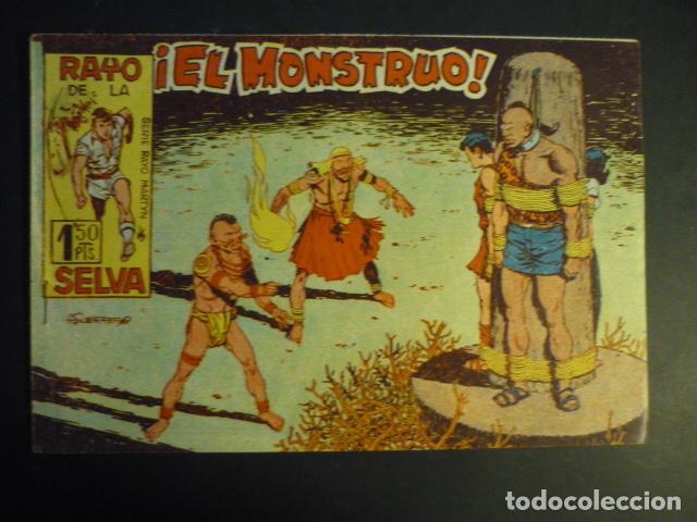 Tebeos: RAYO DE LA SELVA N&ordm; 11 COMIC MAGA - Foto 1