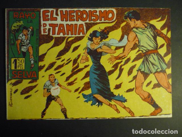 Tebeos: RAYO DE LA SELVA N&ordm; 8 COMIC MAGA - Foto 1