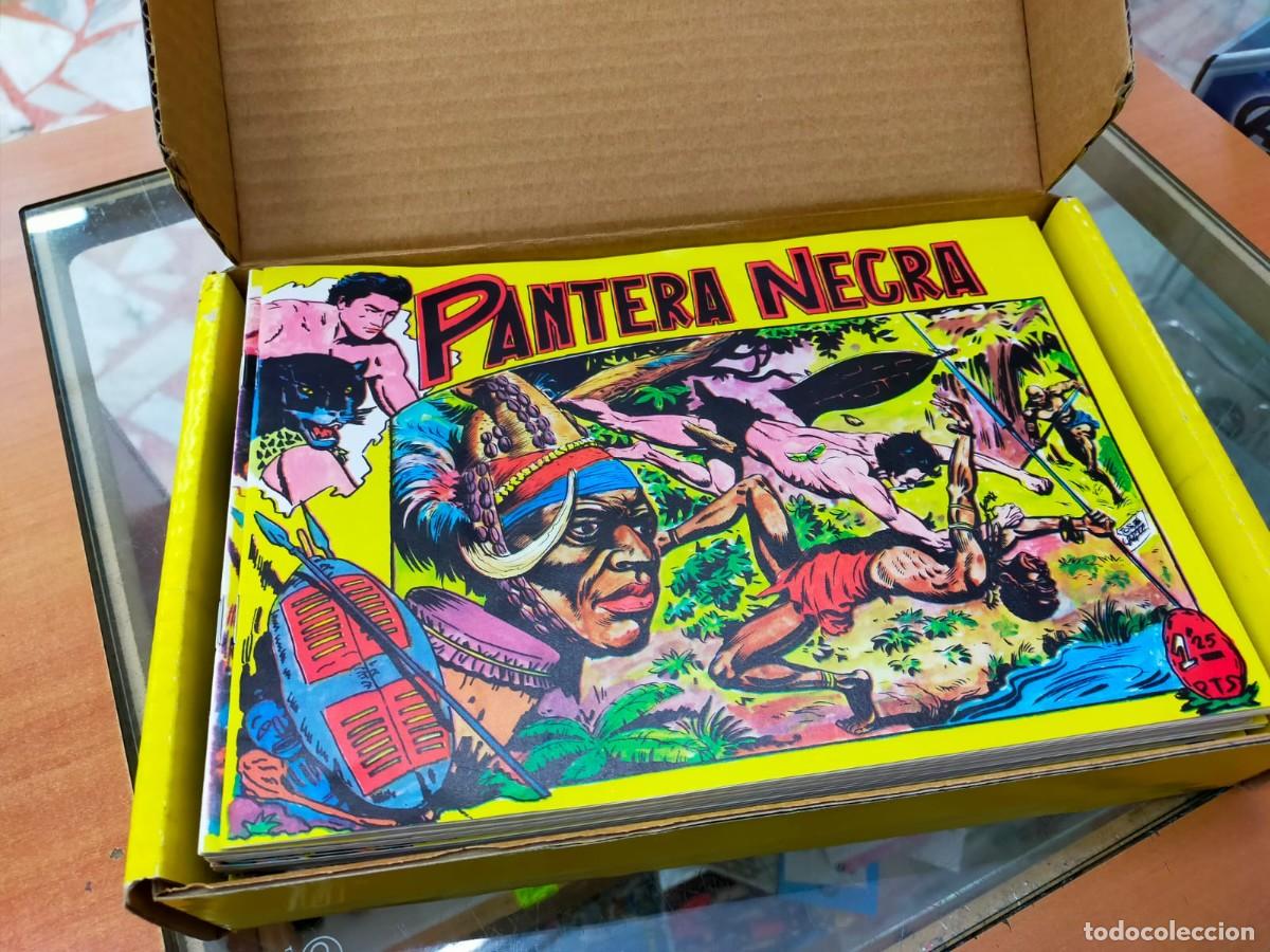 Tebeos: PANTERA NEGRA, de MAGA, EDICI&Oacute;N FACS&Iacute;MIL COMPLETA. 54 N&Uacute;MEROS - Foto 2