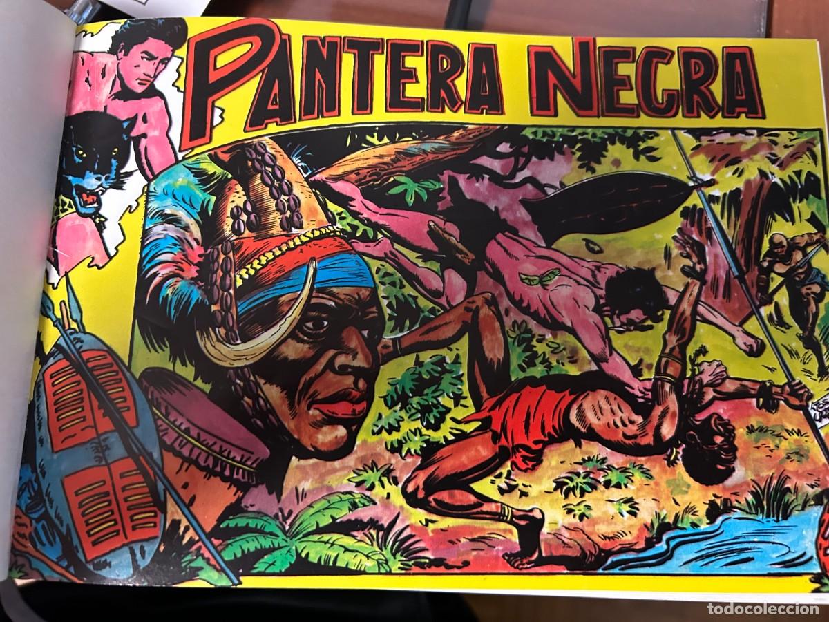 Tebeos: PANTERA NEGRA 54 EJEMPLARES COMPLETA ENCUADERNADA - Foto 1