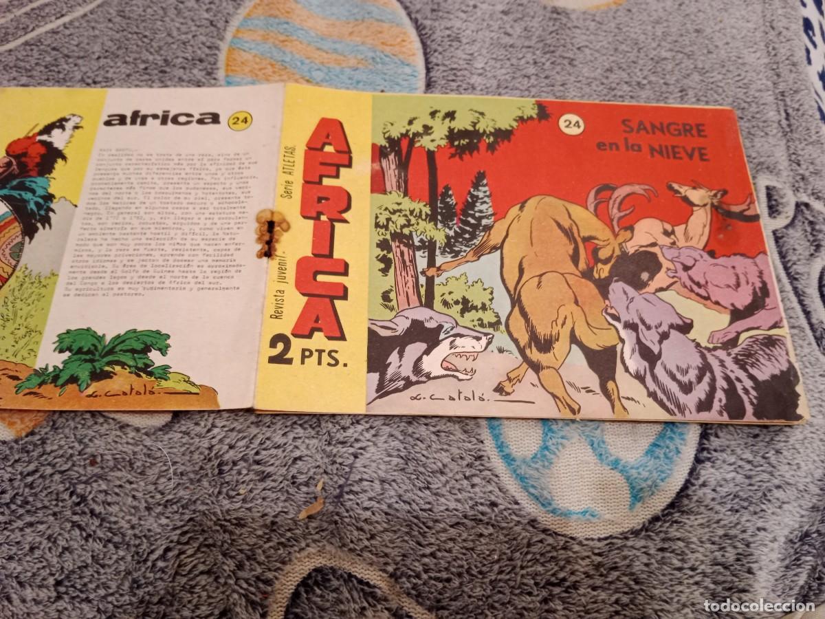 Tebeos: AFRICA N&ordm; 24 SANGRE EN LA NIEVE-EDITORIAL MAGA,1965 - ORIGINAL