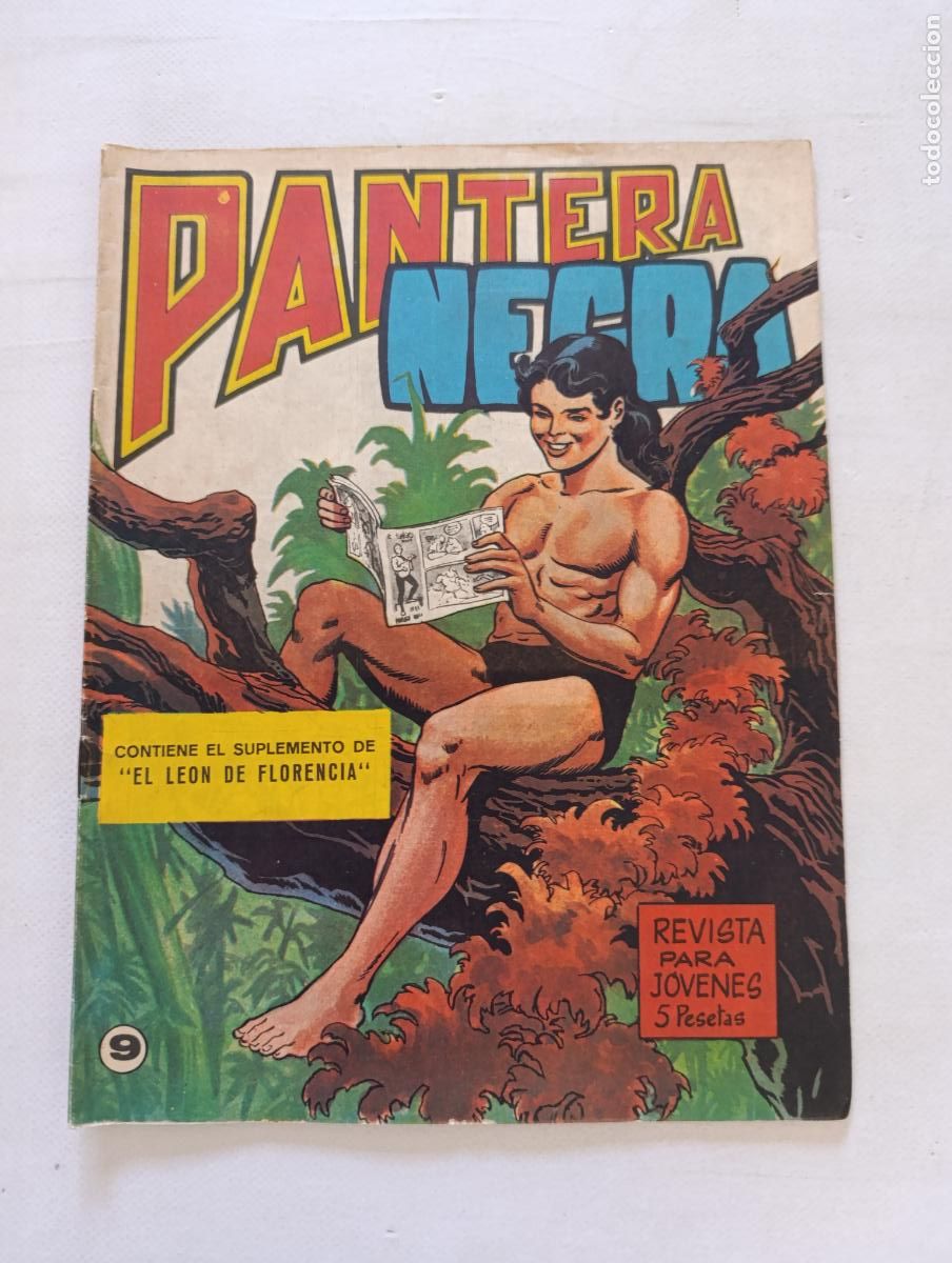 Tebeos: PANTERA NEGRA N&ordm; 9 - REVISTA - MAGA (AM)