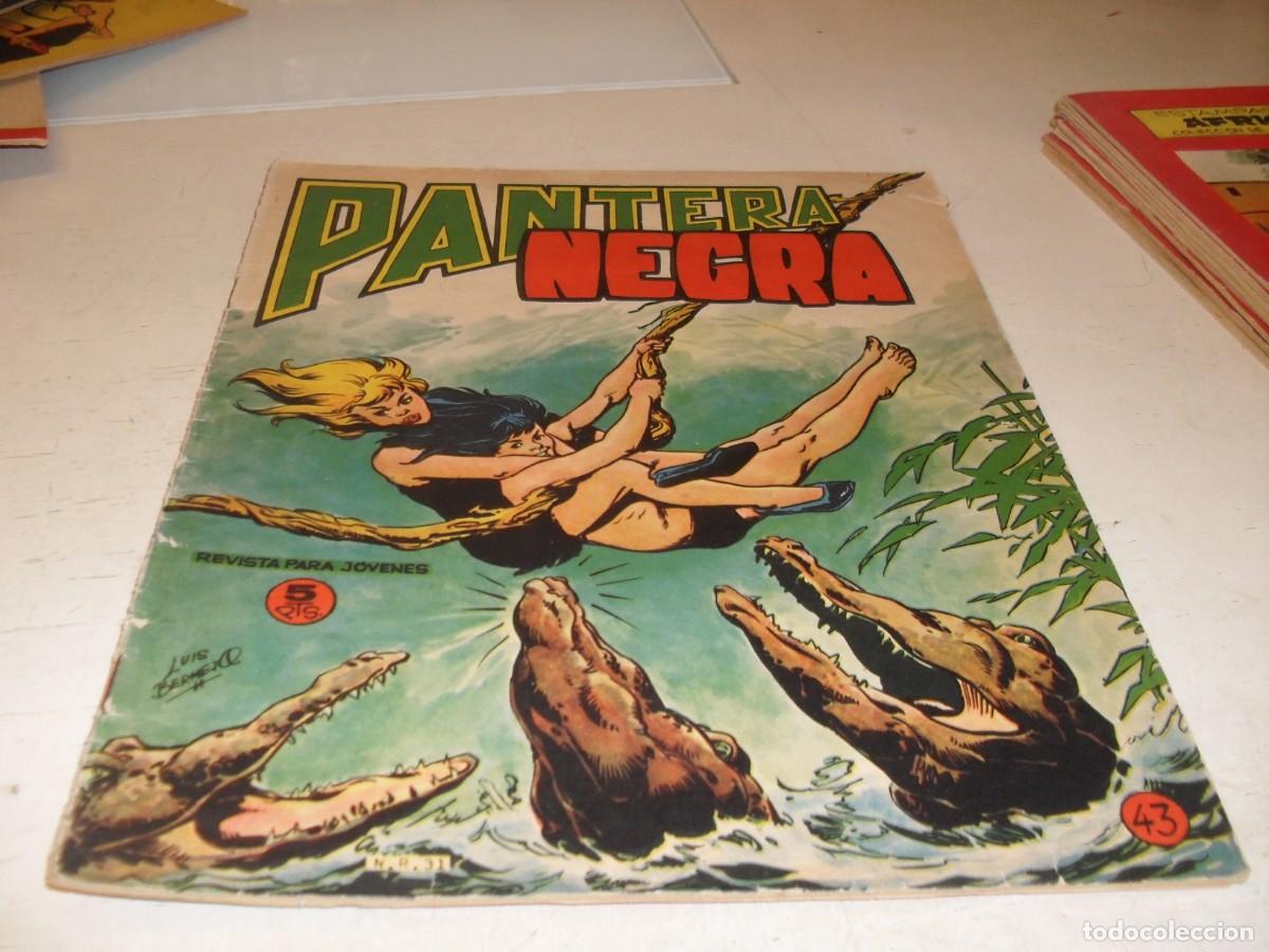 Tebeos: (ORIGINAL)PANTERA NEGRA N&ordm; 43,CON CROMOS ESTAMPAS DE AFRICA 169 AL 172,DE 65,REVISTA,MAGA,1965
