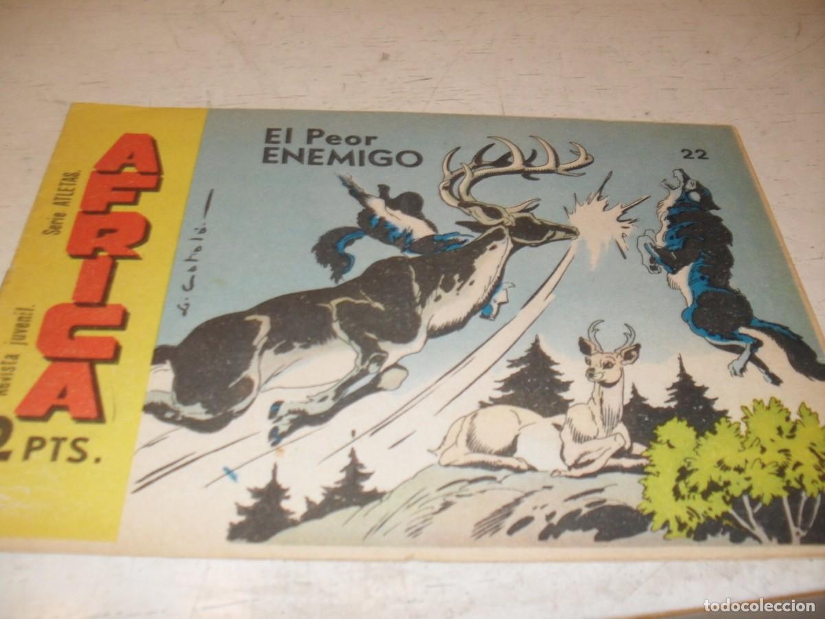 Tebeos: (ORIGINAL),AFRICA N&ordm; 22,EL PEOR ENEMIGO,EN CONTRAPORTADA EL NIGER,DE 74,MAGA,1964