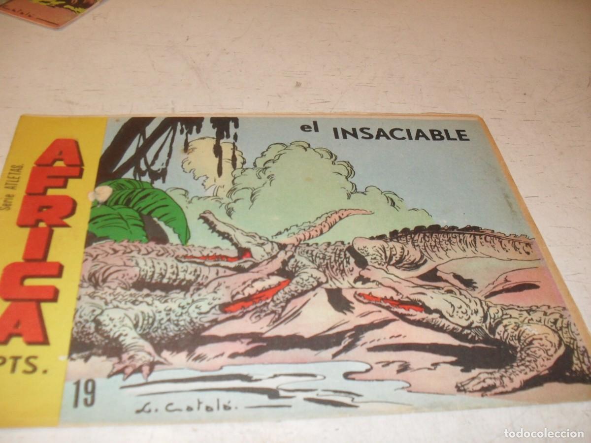 Tebeos: (ORIGINAL),AFRICA N&ordm; 19,EL INSACIABLE,EN CONTRAPORTADA LAS JIRAFAS,DE 74,MAGA,1964