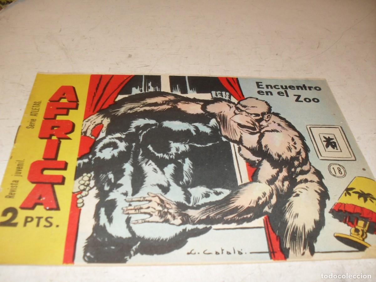 Tebeos: (ORIGINAL),AFRICA N&ordm; 18,ENCUENTRO EN EL ZOO,EN CONTRAPORTADA ANGOLA,DE 74,MAGA,1964