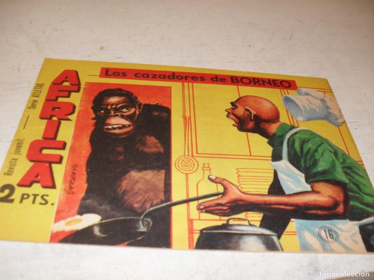 Tebeos: (ORIGINAL),AFRICA N&ordm; 16,LOS CAZADORES DE BORNEO,DE 74,MAGA,1964