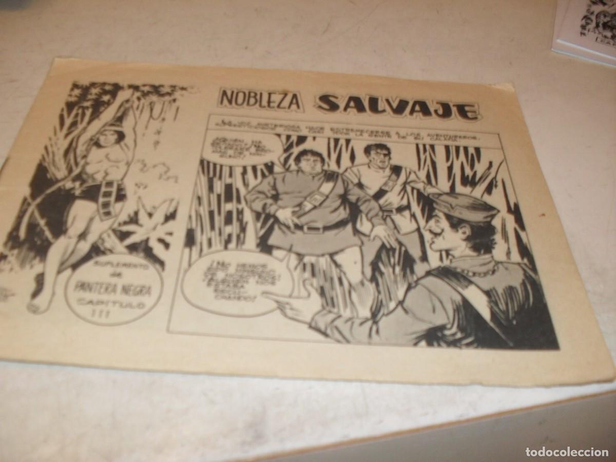Comics: (ORIGINAL),NOBLEZA SALVAJE,CAPITULO 3,SUPLEMENTO DE PANTERA NEGRA,MAGA,1965