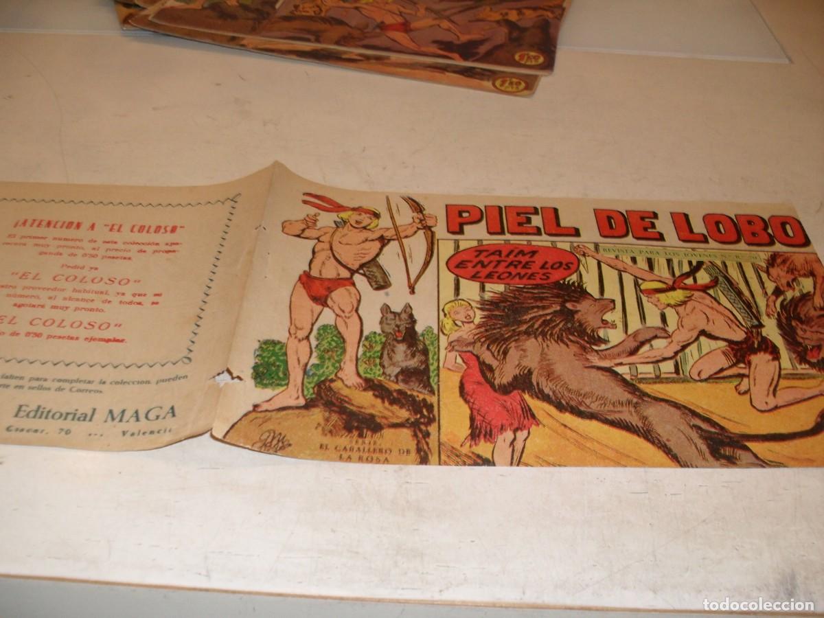Tebeos: (ORIGINAL),PIEL DE LOBO,N&ordm; 66,SOLO LAS CUBIERTAS,TAIM ENTRE LOS LEONES,DE M.GAGO ,MAGA,1959
