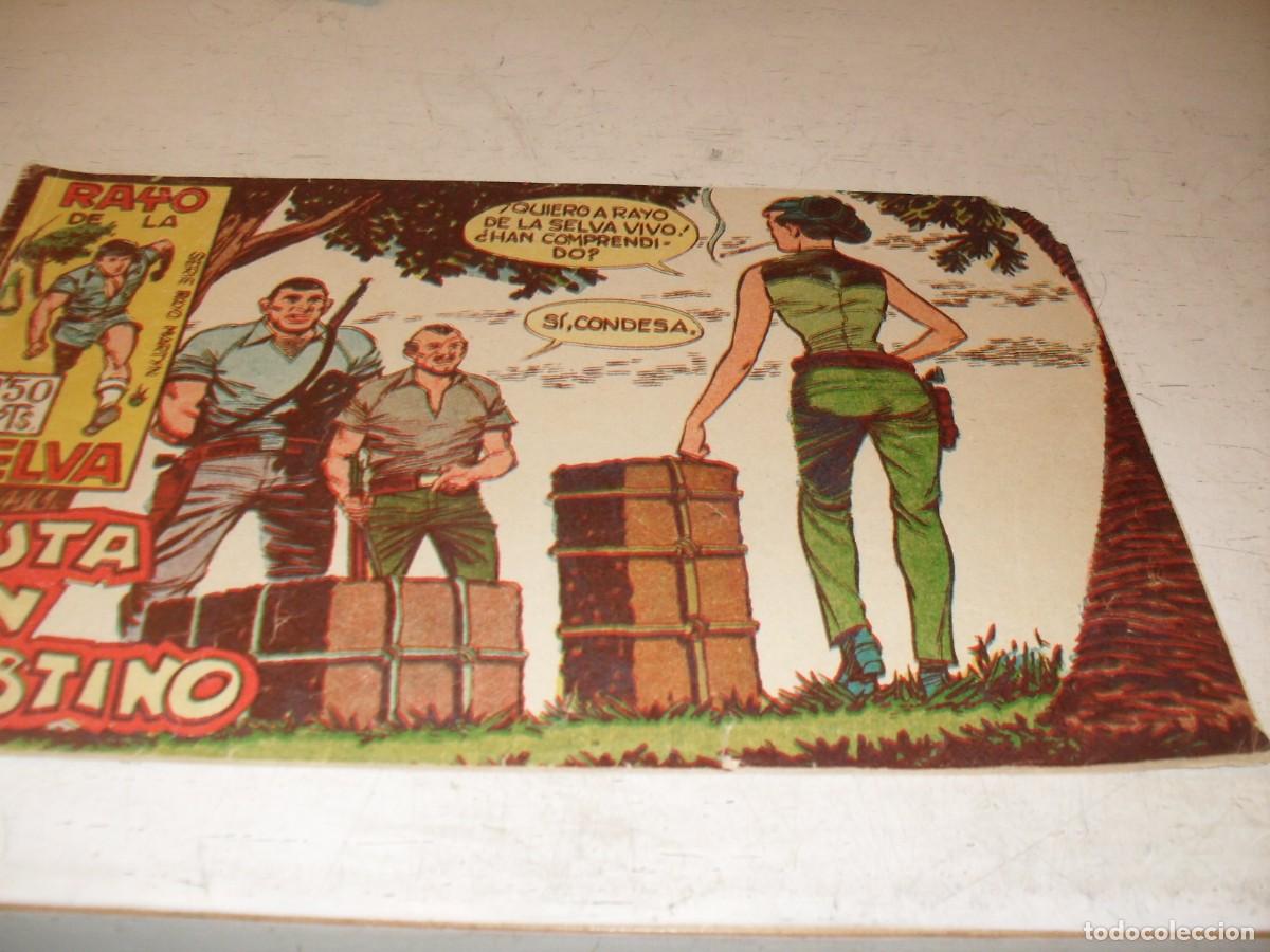 Tebeos: (ORIGINAL),RAYO DE LA SELVA N&ordm; 24,RUTA SIN DESTINO,DE A.GUERRERO,DE 83 ,MAGA,1960