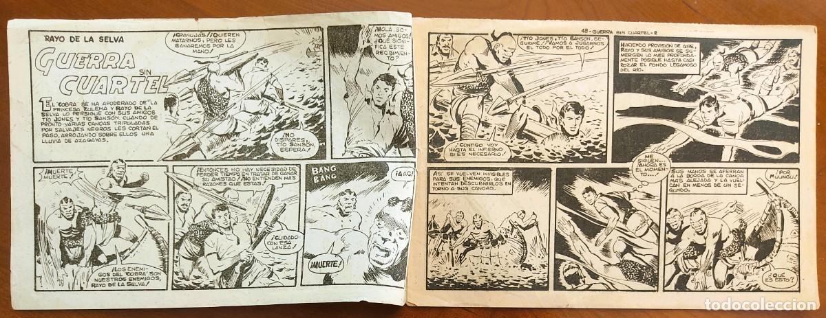 Tebeos: RAYO DE LA SELVA N&ordm; 48 - EDITORIAL MAGA - ORIGINAL DE &Eacute;POCA - Foto 3