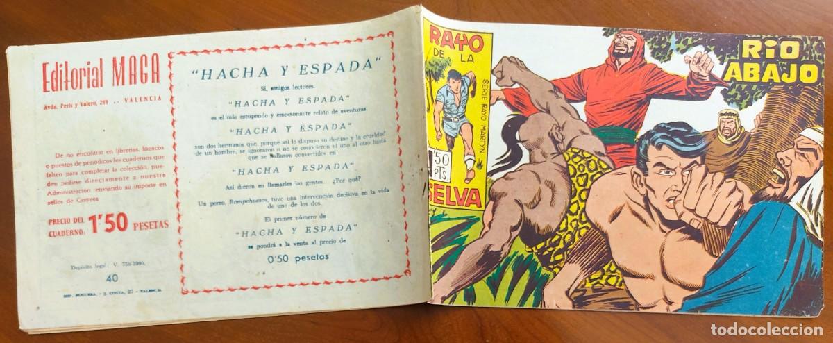 Tebeos: RAYO DE LA SELVA N&ordm; 40 - EDITORIAL MAGA - ORIGINAL DE &Eacute;POCA - Foto 2