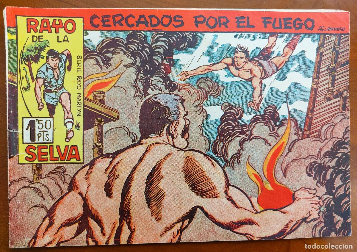 BDs: RAYO DE LA SELVA N&ordm; 29 - EDITORIAL MAGA - ORIGINAL DE &Eacute;POCA