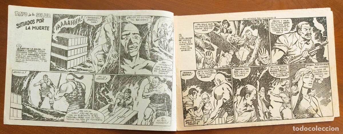 Tebeos: RAYO DE LA SELVA N&ordm; 25 - EDITORIAL MAGA - ORIGINAL DE &Eacute;POCA - Foto 3