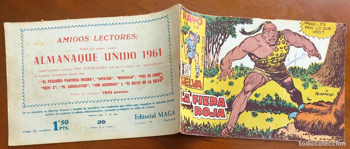 Tebeos: RAYO DE LA SELVA N&ordm; 20 - EDITORIAL MAGA - ORIGINAL DE &Eacute;POCA - Foto 2