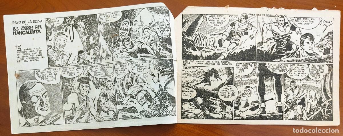 Tebeos: RAYO DE LA SELVA N&ordm; 19 - EDITORIAL MAGA - ORIGINAL DE &Eacute;POCA - Foto 3