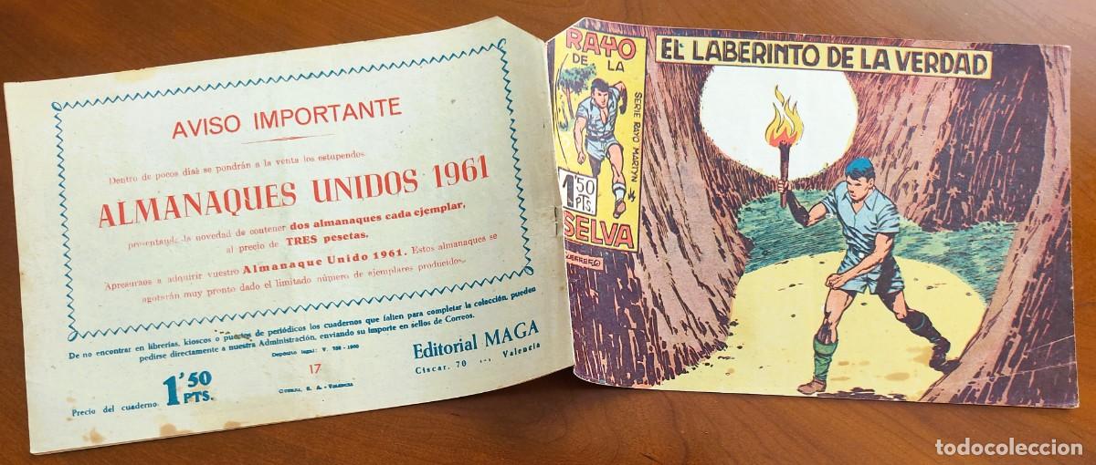 Tebeos: RAYO DE LA SELVA N&ordm; 17 - EDITORIAL MAGA - ORIGINAL DE &Eacute;POCA - Foto 2