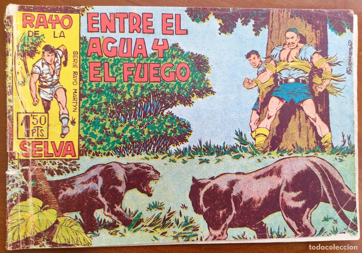 BDs: RAYO DE LA SELVA N&ordm; 15 - EDITORIAL MAGA - ORIGINAL DE &Eacute;POCA