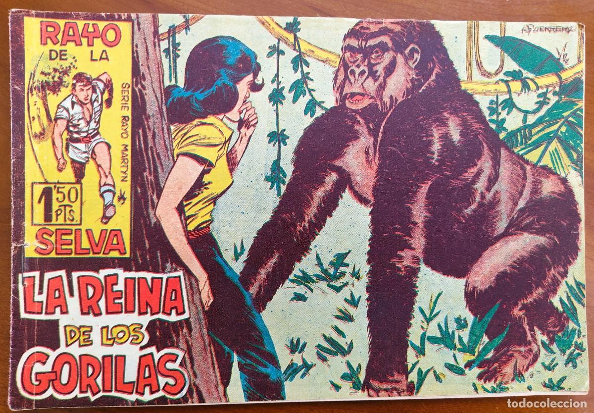 BDs: RAYO DE LA SELVA N&ordm; 12 - EDITORIAL MAGA - ORIGINAL DE &Eacute;POCA