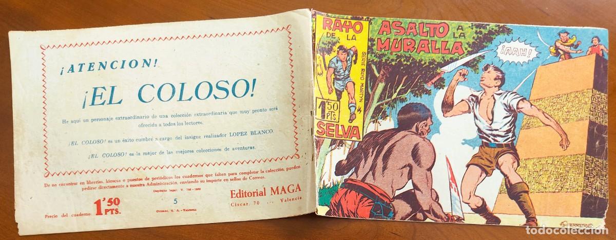Tebeos: RAYO DE LA SELVA N&ordm; 5 - EDITORIAL MAGA - ORIGINAL DE &Eacute;POCA - Foto 2