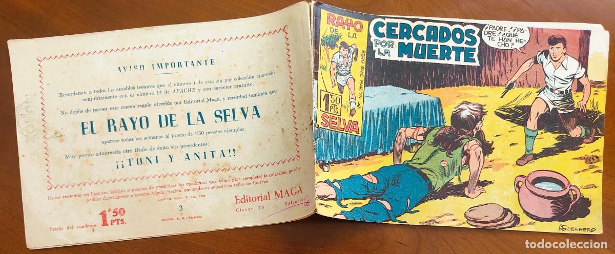 Tebeos: RAYO DE LA SELVA N&ordm; 3 - EDITORIAL MAGA - ORIGINAL DE &Eacute;POCA - Foto 2