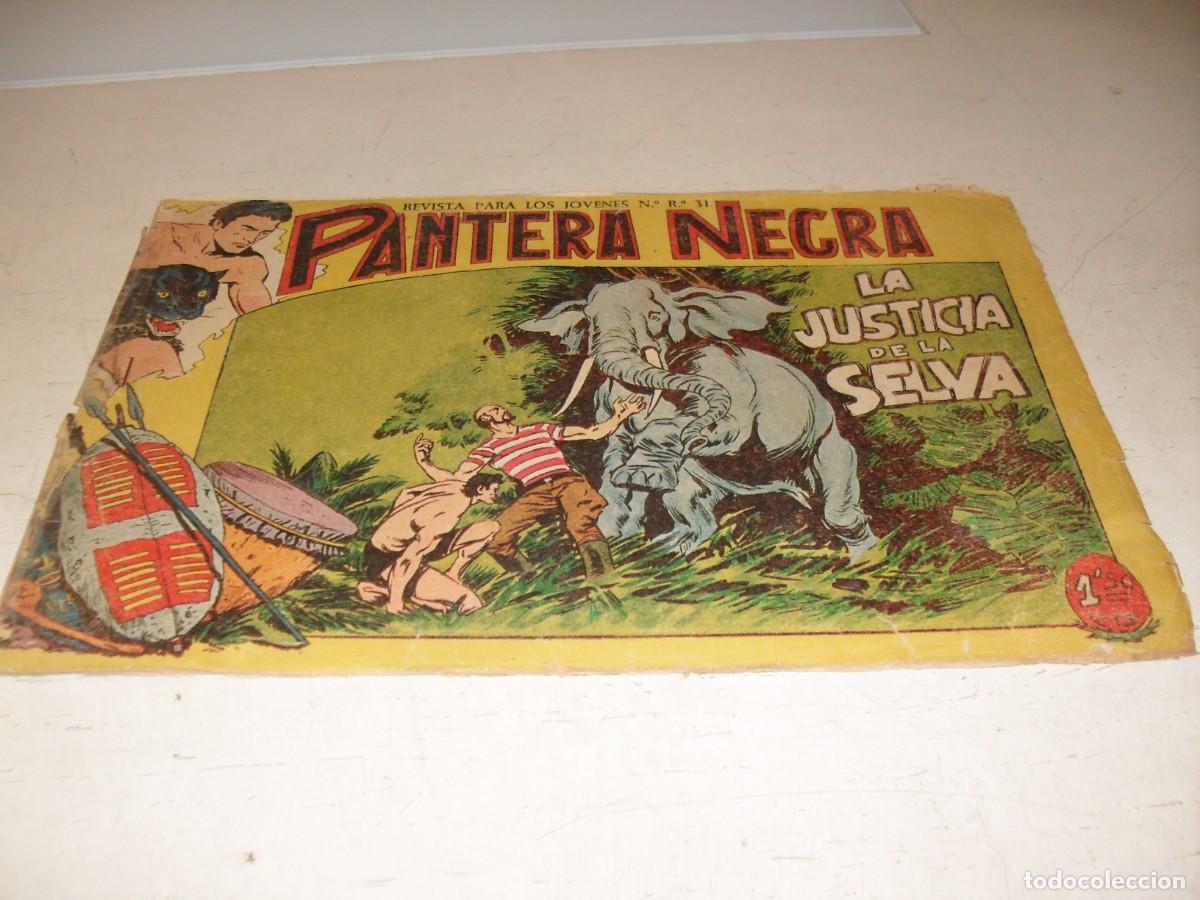Tebeos: (ORIGINAL),PANTERA NEGRA N&ordm; 51,LA JUSTICIA DE LA SELVA,DE 329,MAGA,1956