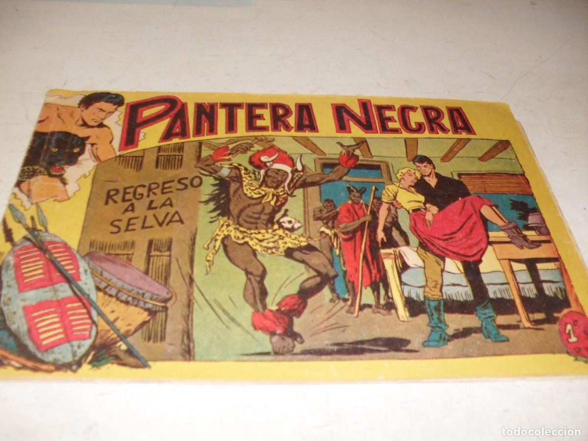 Tebeos: (ORIGINAL),PANTERA NEGRA N&ordm; 38,REGRESO A LA SELVA,DE 329,MAGA,1956
