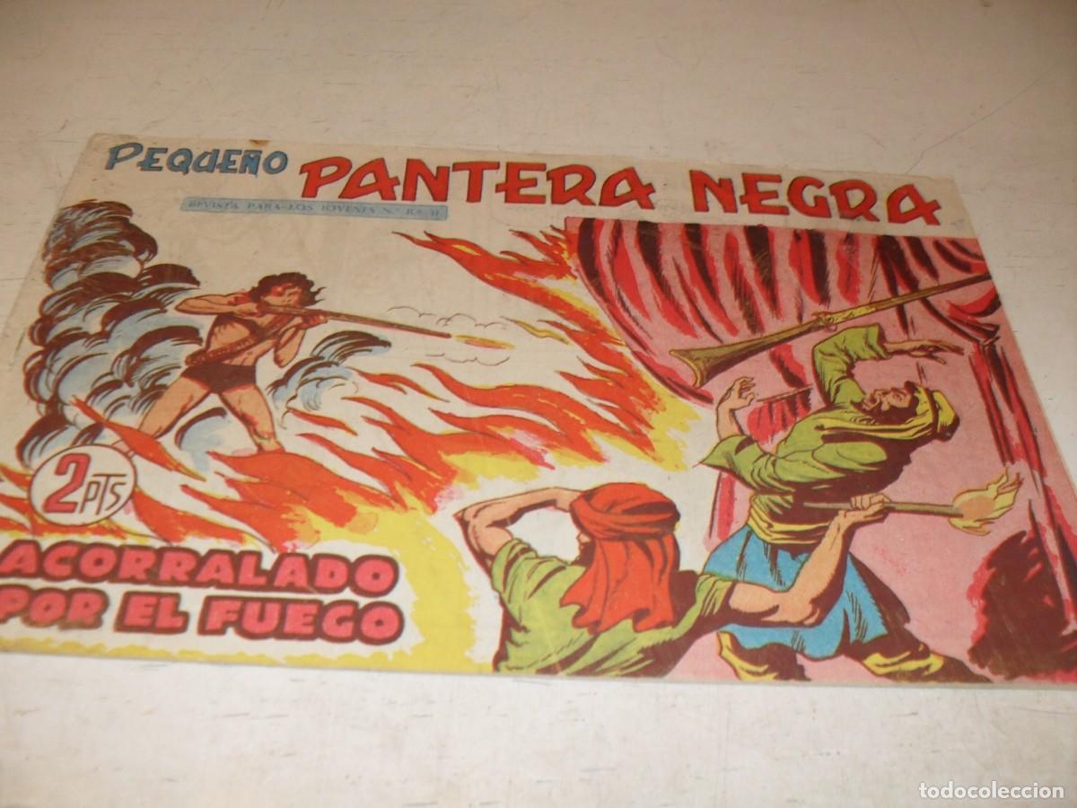 Tebeos: (ORIGINAL),PEQUE&Ntilde;O PANTERA NEGRA N&ordm; 268,ACORRALADO POR EL FUEGO,DE 329,MAGA,1956