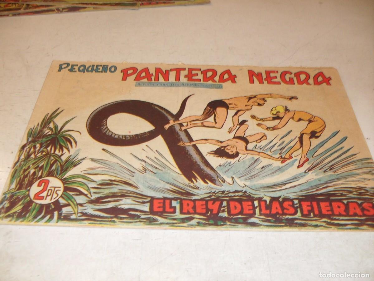 Tebeos: (ORIGINAL),PEQUE&Ntilde;O PANTERA NEGRA N&ordm; 255,EL REY DE LAS FIERAS,DE 329,MAGA,1956