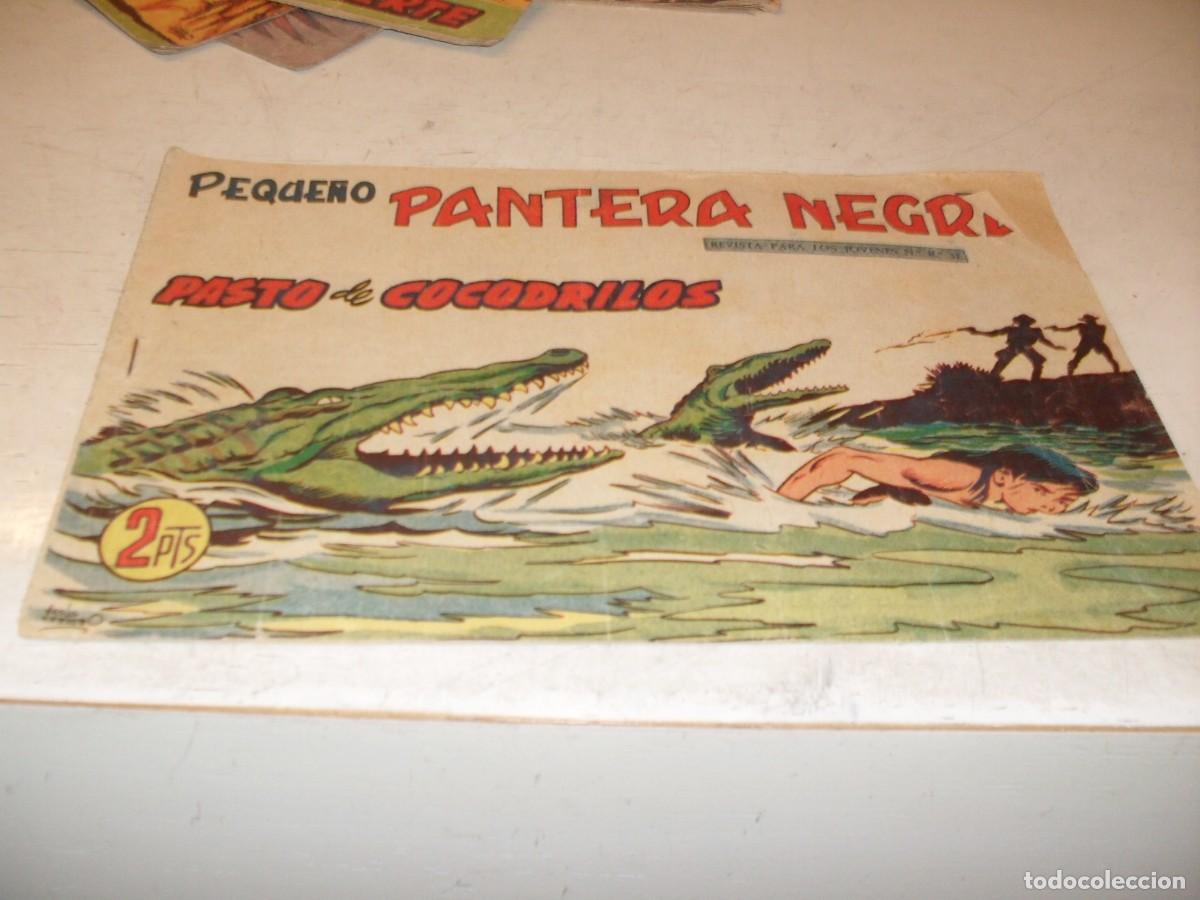 Tebeos: (ORIGINAL),PEQUE&Ntilde;O PANTERA NEGRA N&ordm; 241,PASTO DE COCODRILOS,DE 329,MAGA,1956