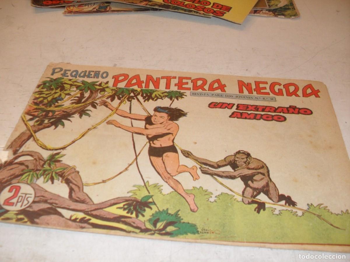 Tebeos: (ORIGINAL),PEQUE&Ntilde;O PANTERA NEGRA N&ordm; 223,UN EXTRA&Ntilde;O AMIGO,DE 329,MAGA,1956