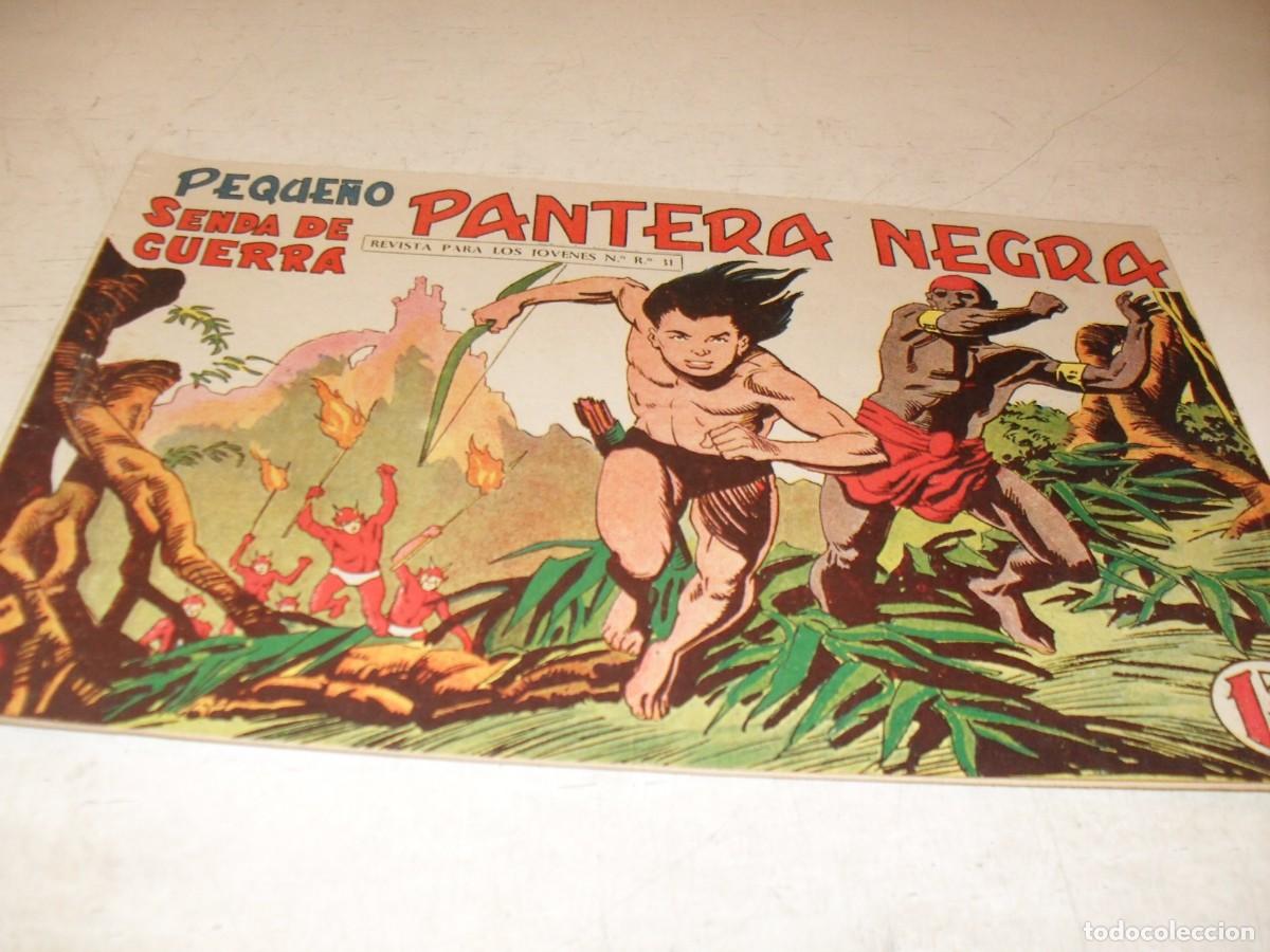 Tebeos: (ORIGINAL),PEQUE&Ntilde;O PANTERA NEGRA N&ordm; 172,SENDA DE GUERRA,DE 329,MAGA,1956