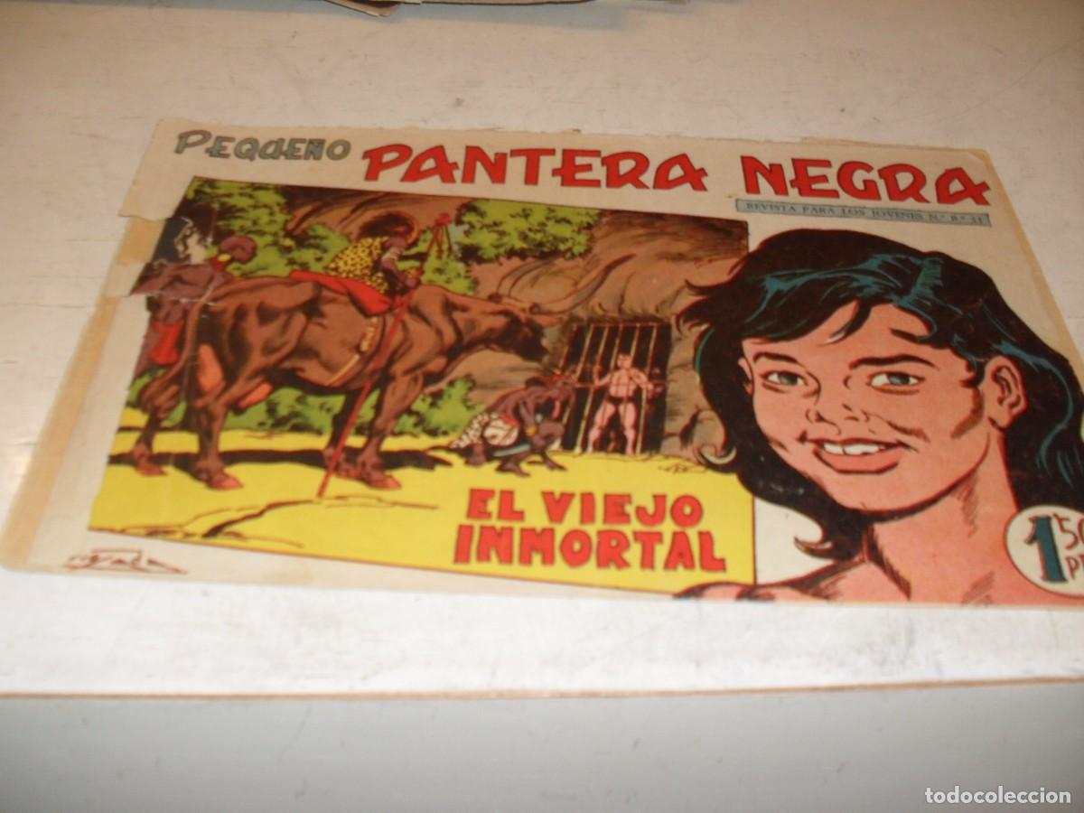 Tebeos: (ORIGINAL),PEQUE&Ntilde;O PANTERA NEGRA N&ordm; 145,EL VIEJO INMORTAL,DE 329,MAGA,1956