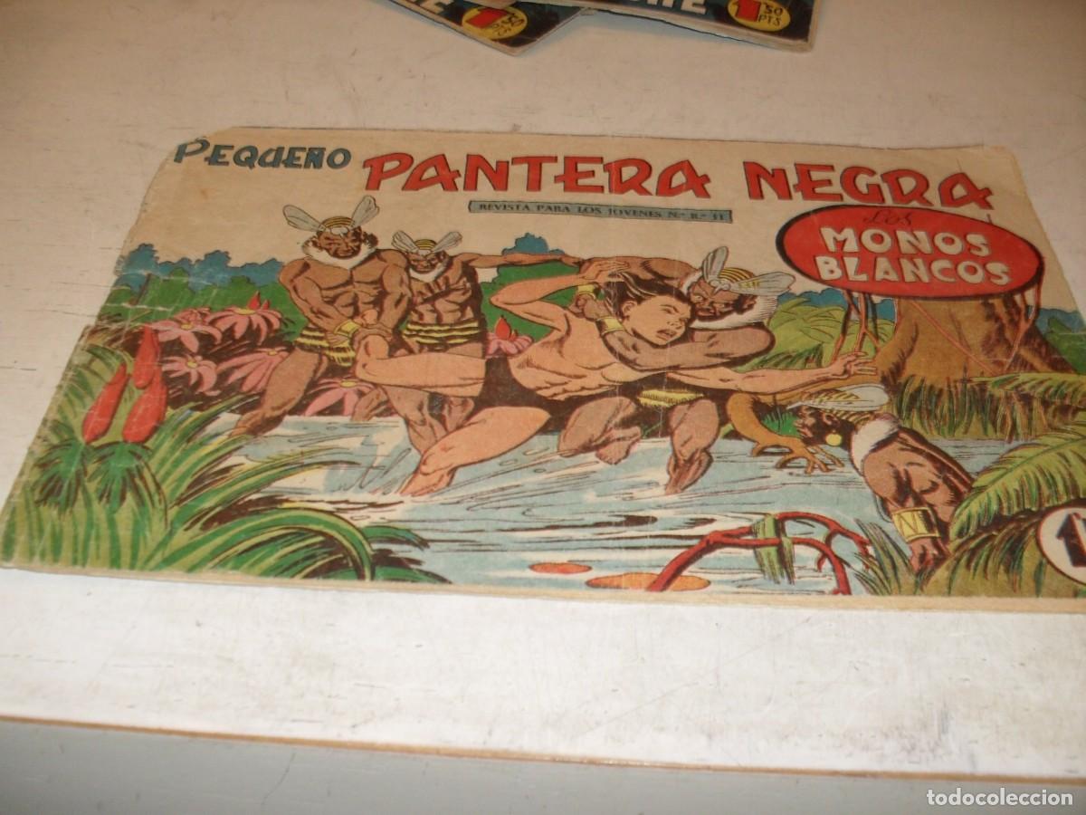 Tebeos: (ORIGINAL),PEQUE&Ntilde;O PANTERA NEGRA N&ordm; 131,MONOS BLANCOS,DE 329,MAGA,1956