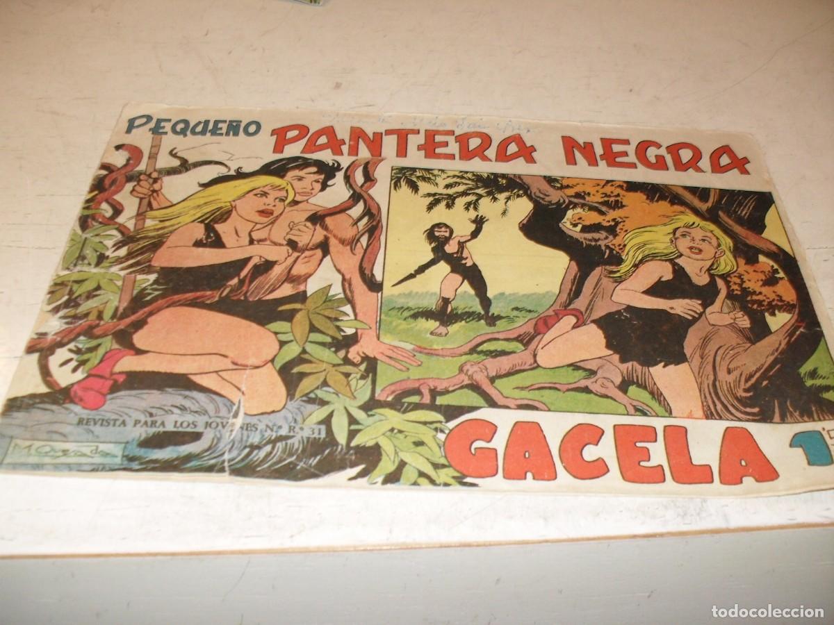 Tebeos: (ORIGINAL),PEQUE&Ntilde;O PANTERA NEGRA N&ordm; 125,GACELA,DE 329,MAGA,1956