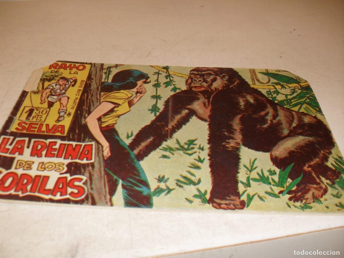 Tebeos: (ORIGINAL),FOGATA N&ordm; 12,LA REINA DE LOS GORILAS,DE ANTONIO GUERRERO ,DE 83.MAGA,1960