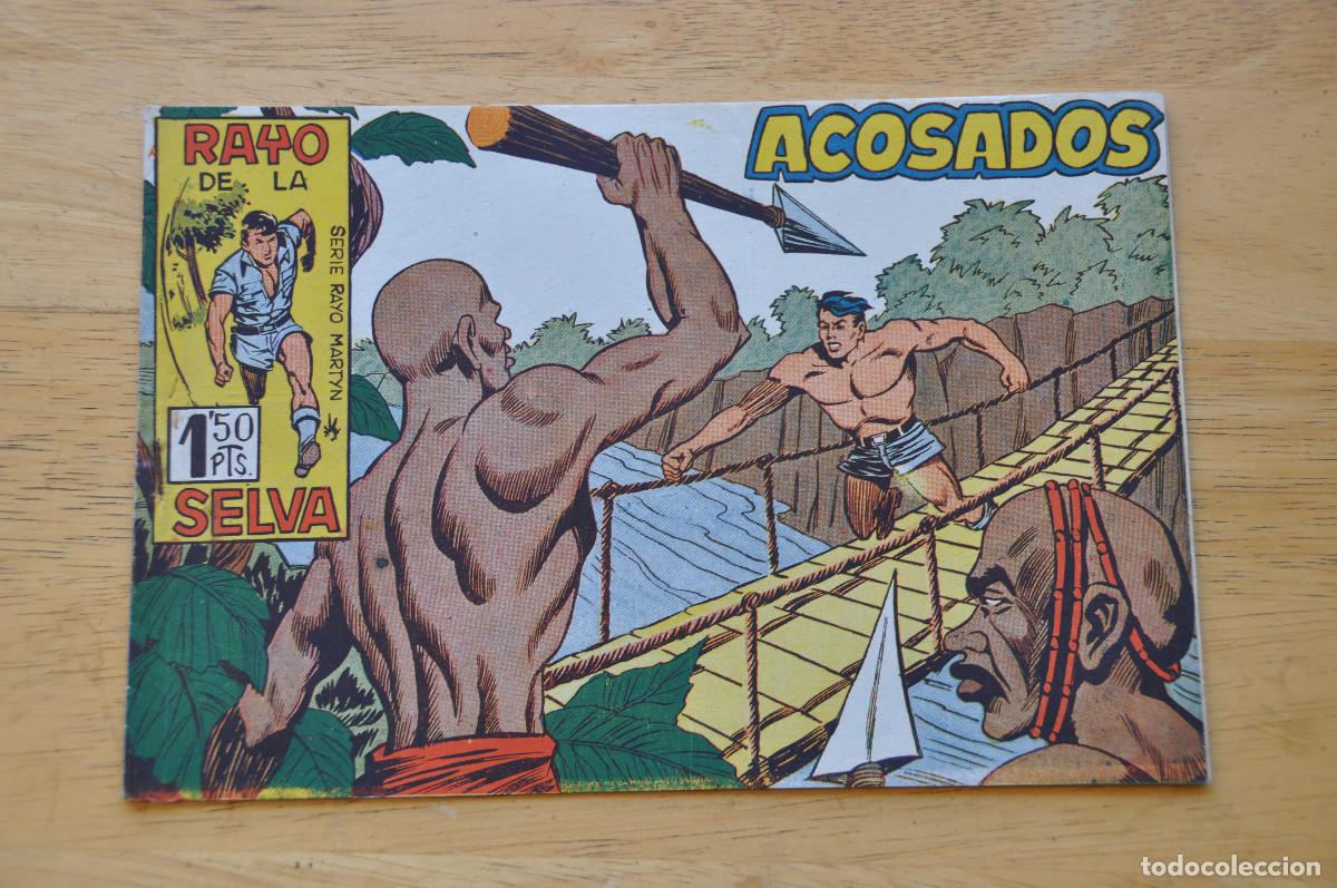 Comics: COMIC - RAYO DE LA SELVA N&ordm;35 - ACOSADOS - EDITORIAL MAGA
